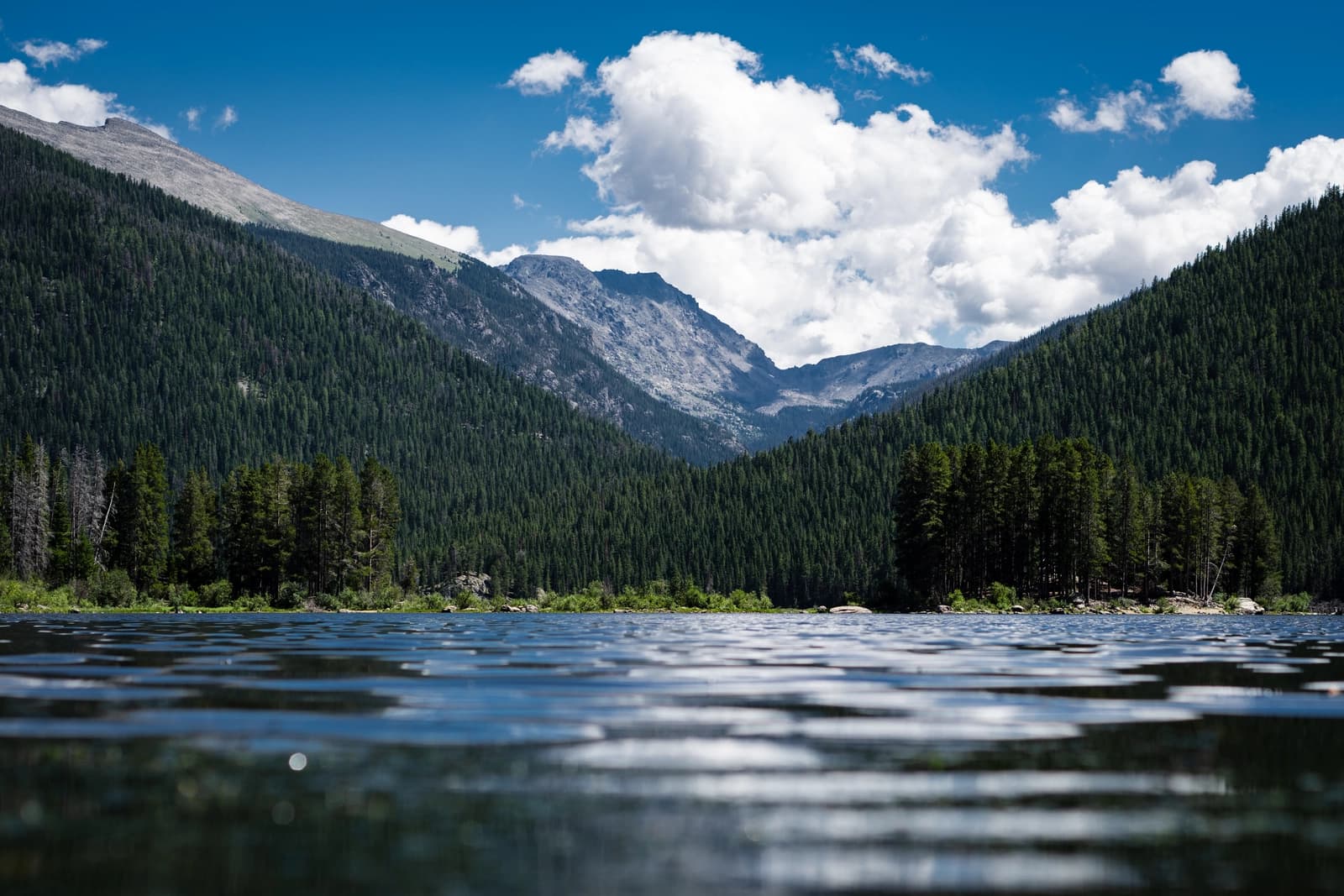 Landscapes photo 10