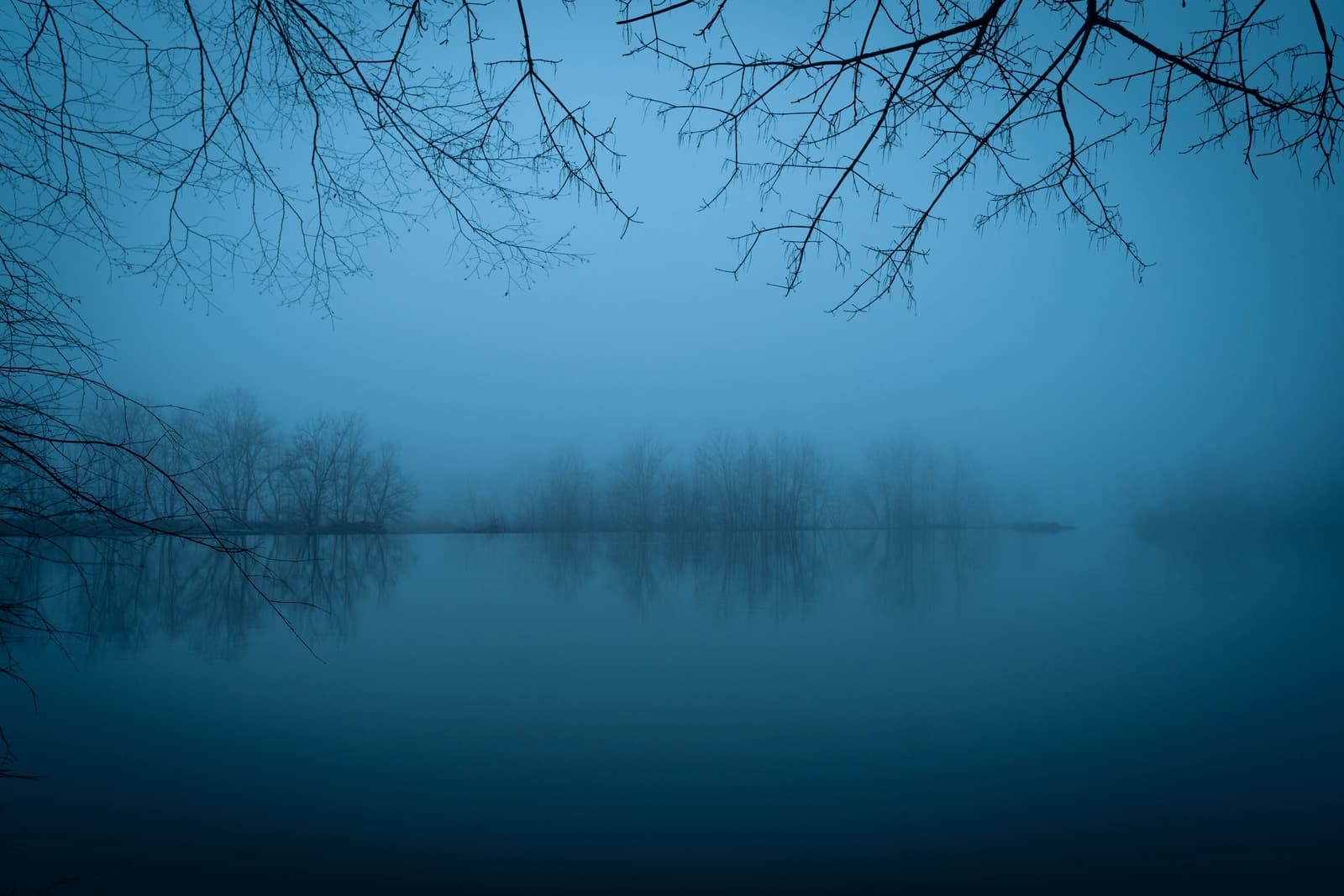 Landscapes photo 12