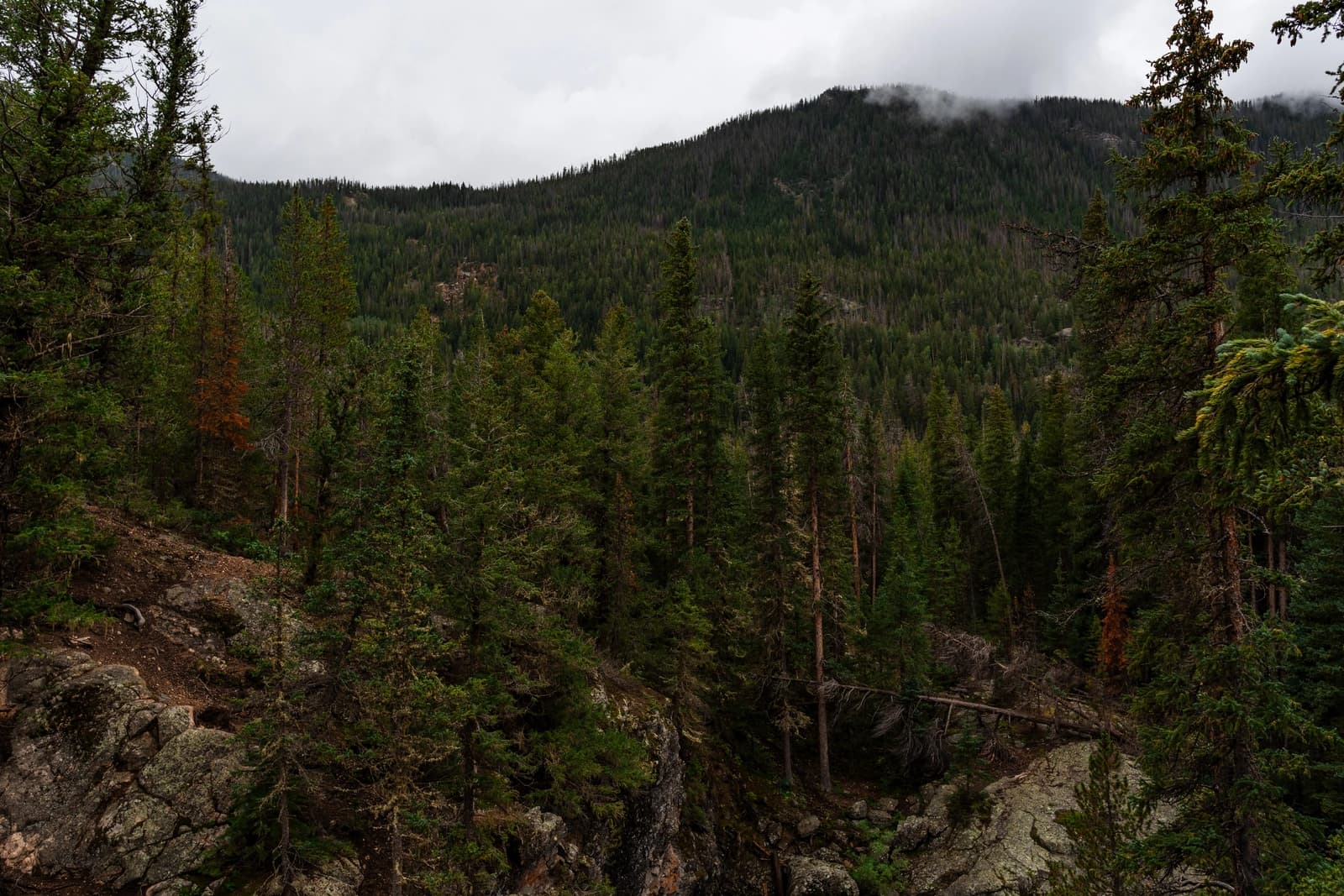 Landscapes photo 9
