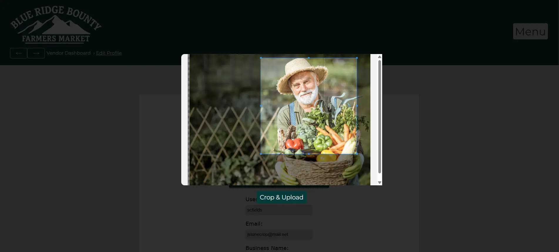 Cropper modal